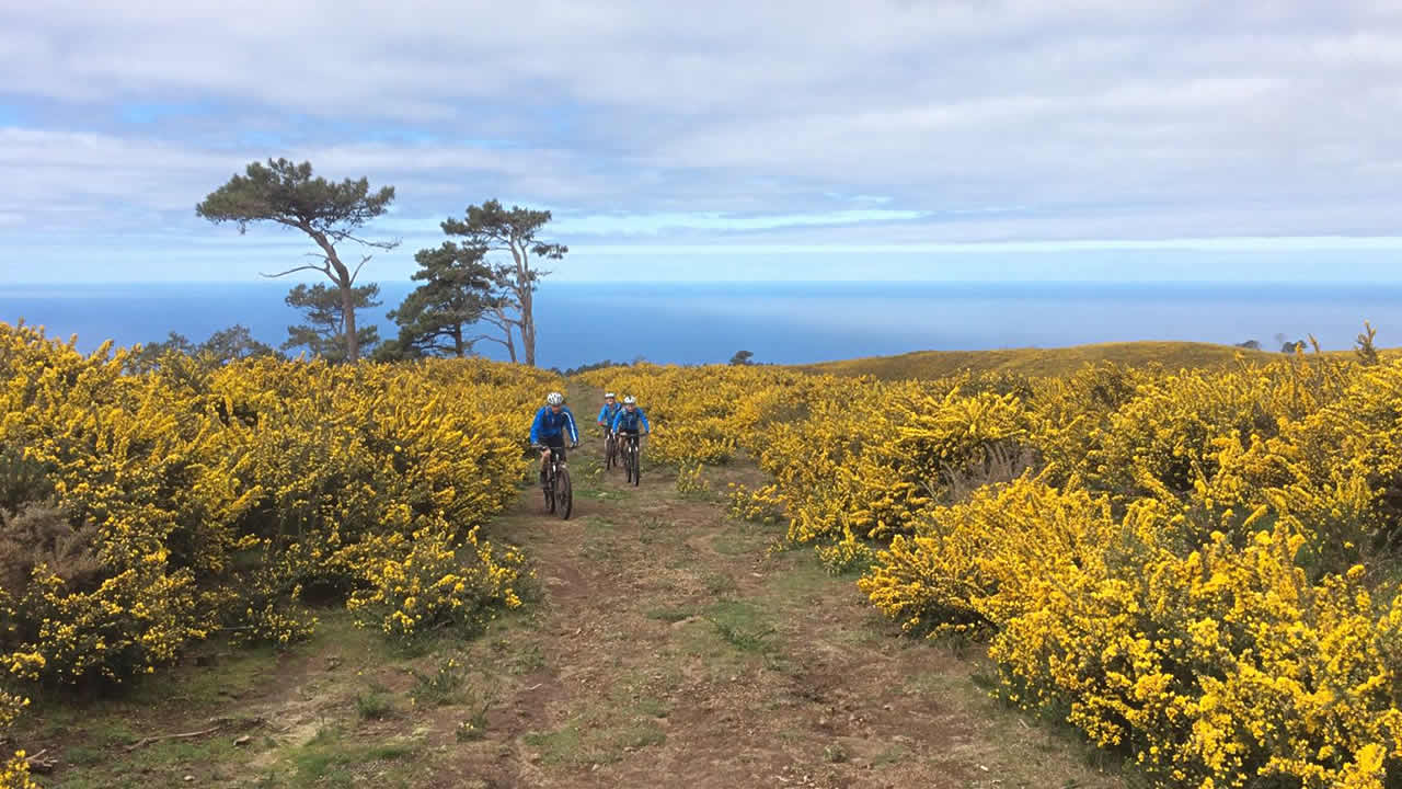 Madeira NW: Bike-Paradies in blau-gelb
