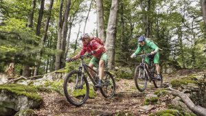 Trans Bayerwald - das große MTB-Abenteuer