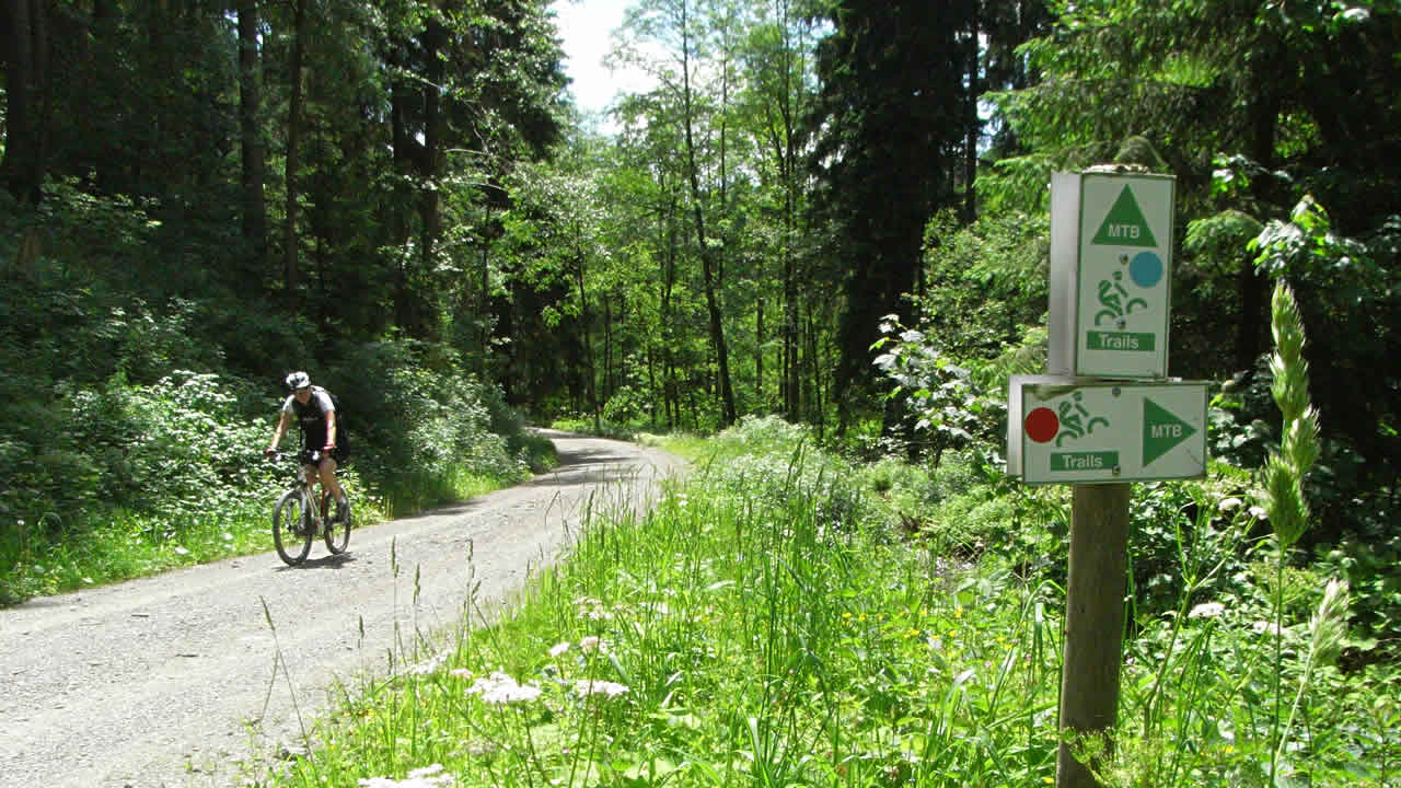 Mountainbiken am Döbraberg