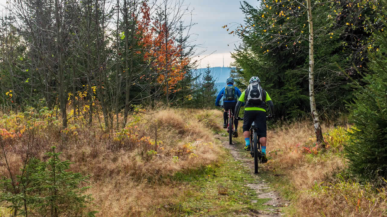 Mountainbike-Trail Richtung Waldstein