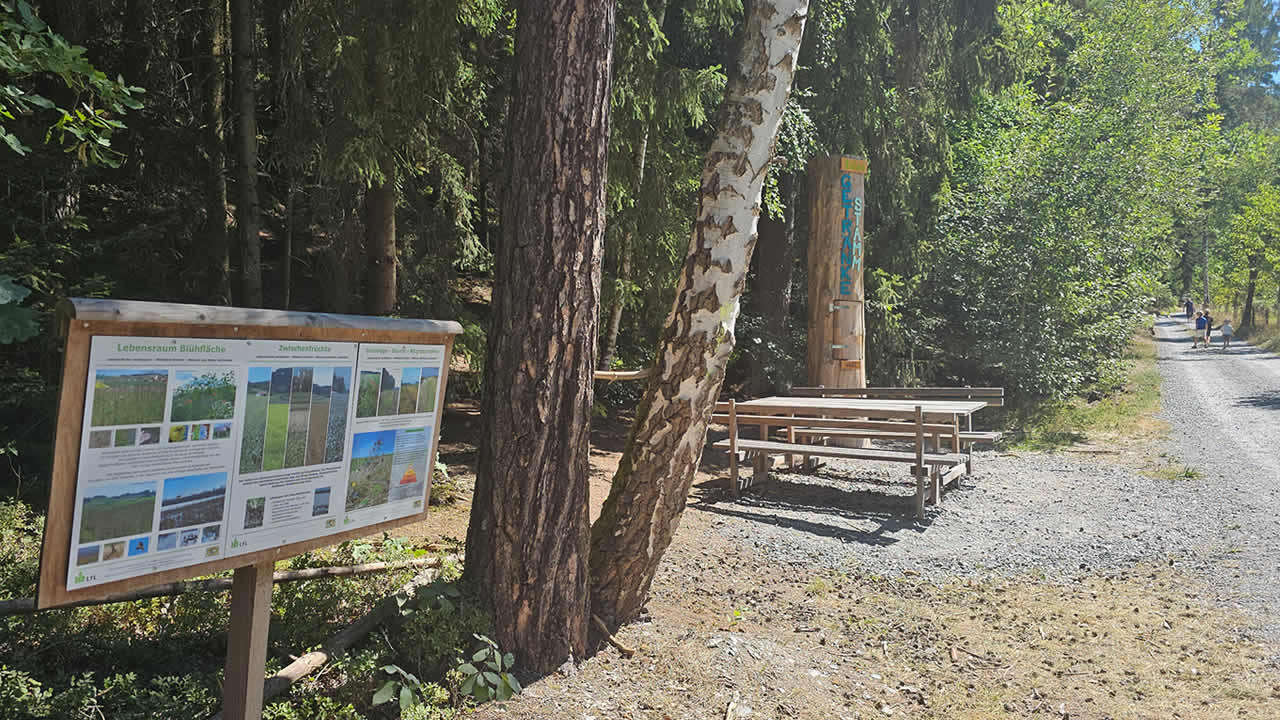 Getränke-Baumstamm am Eulenweg